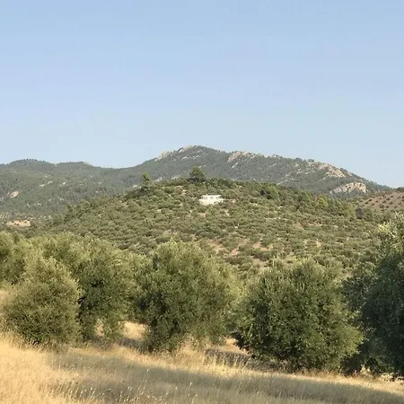 Vila Okoa Comfortable Holiday Neos Marmaras